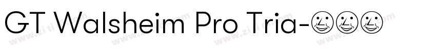 GT Walsheim Pro Tria字体转换